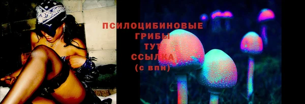 ECSTASY Аркадак