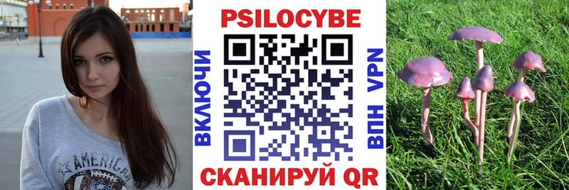 Купить закладки  Канаш  Псилоцибиновые грибы MAGIC MUSHROOMS 
